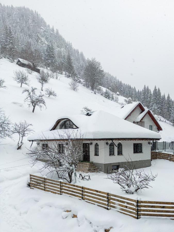 Casa Sena Villa Moeciu De Sus Bagian luar foto
